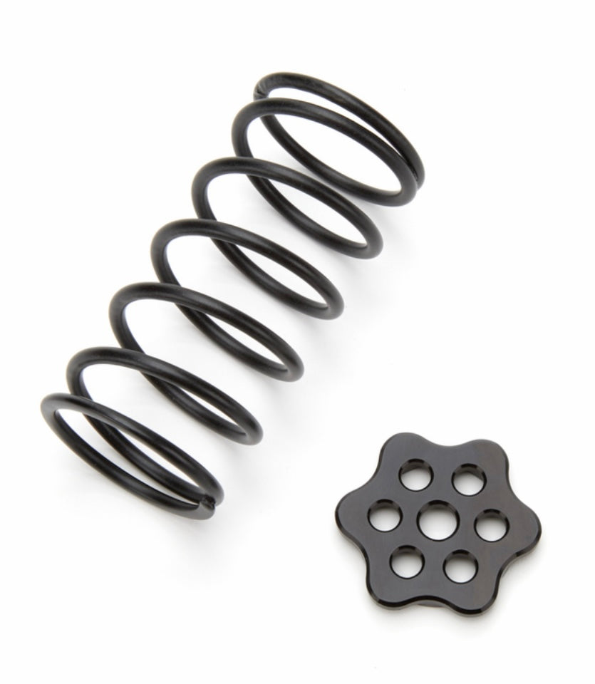 Master cylinder return spring kit